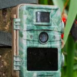Cellular Trail Cams
